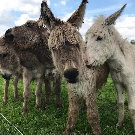 Recreational Farm De Kreitsberg