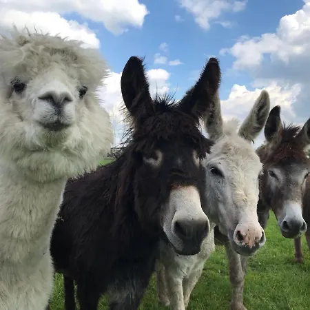 Recreational Farm Camping De Kreitsberg