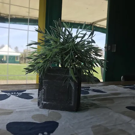 Luxe tent Boerderijcamping De Kreitsberg